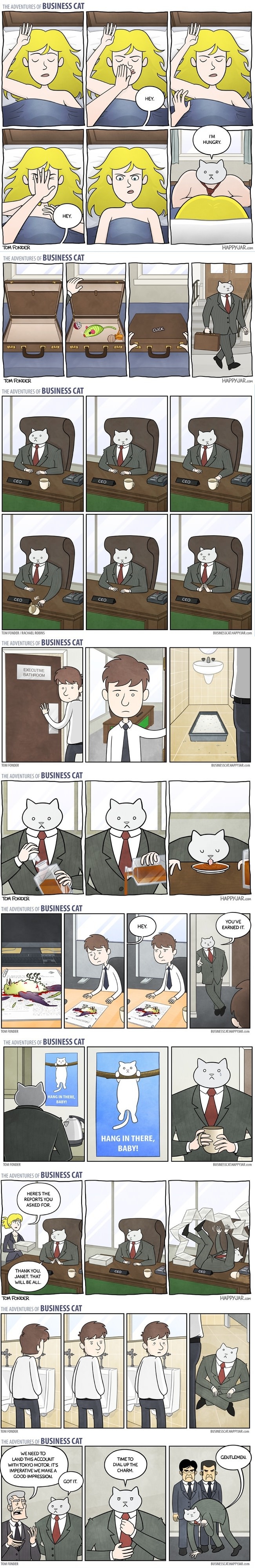 Adventures of business cat