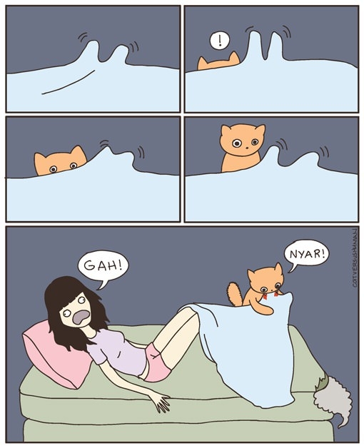 Please kitty... no!