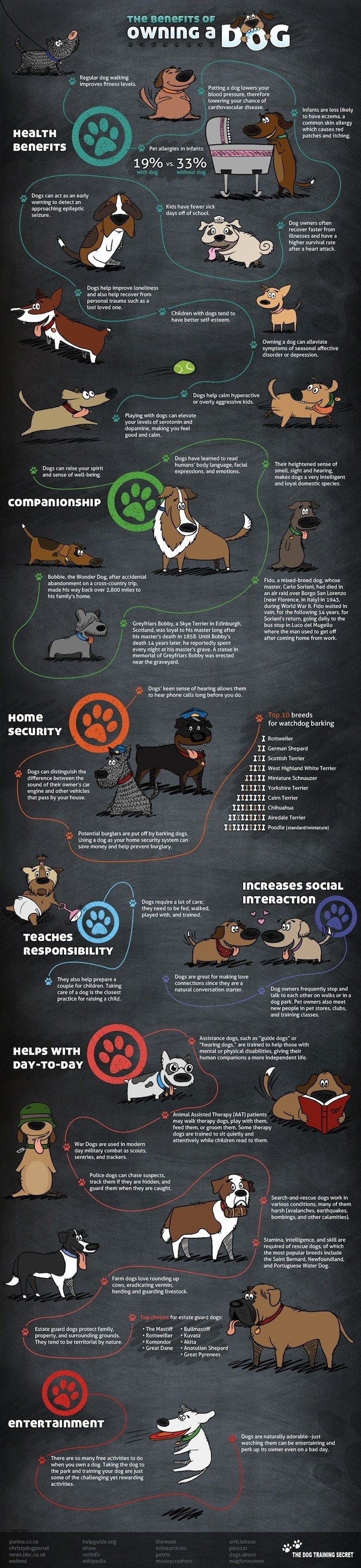 Benefits of owning a dog