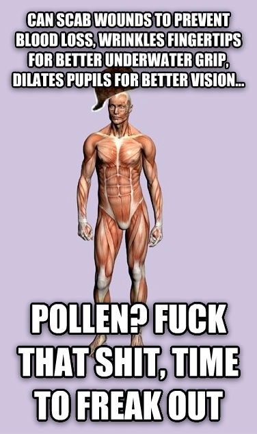 Scumbag body