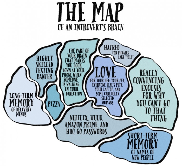 Brain of an introvert