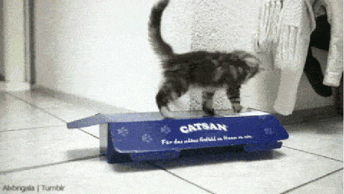 Noooo! Stay in!