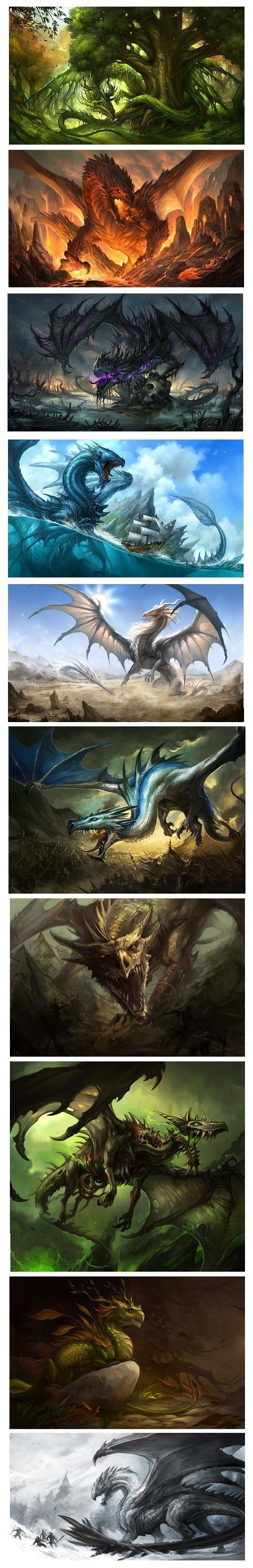 Different types of dragons