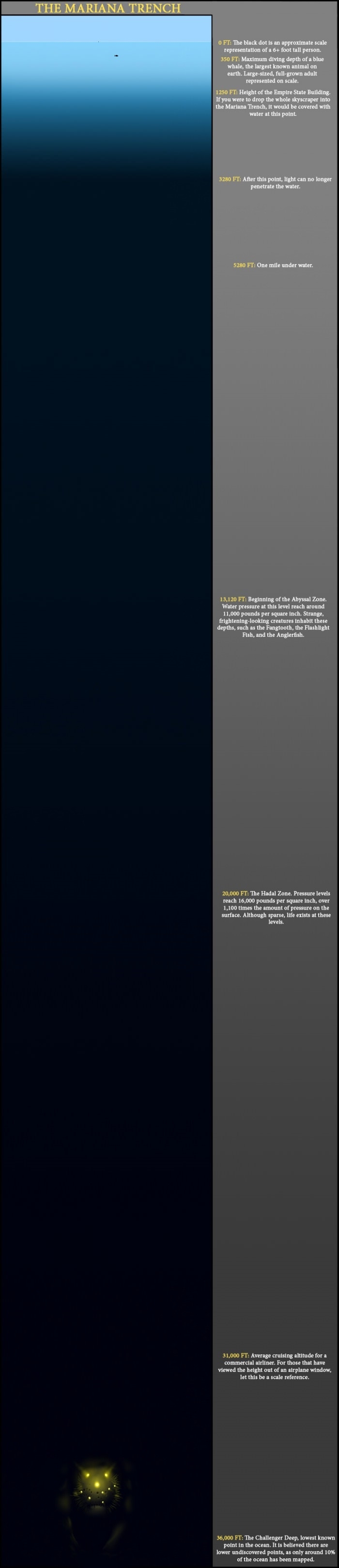 Depth of the ocean to scale