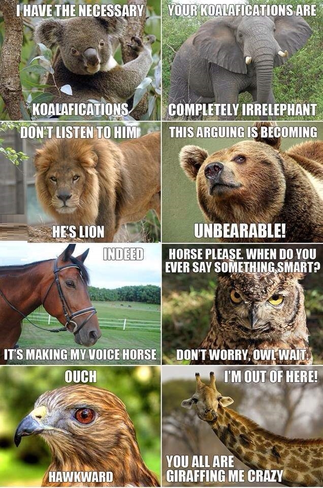 Baby don't herd me