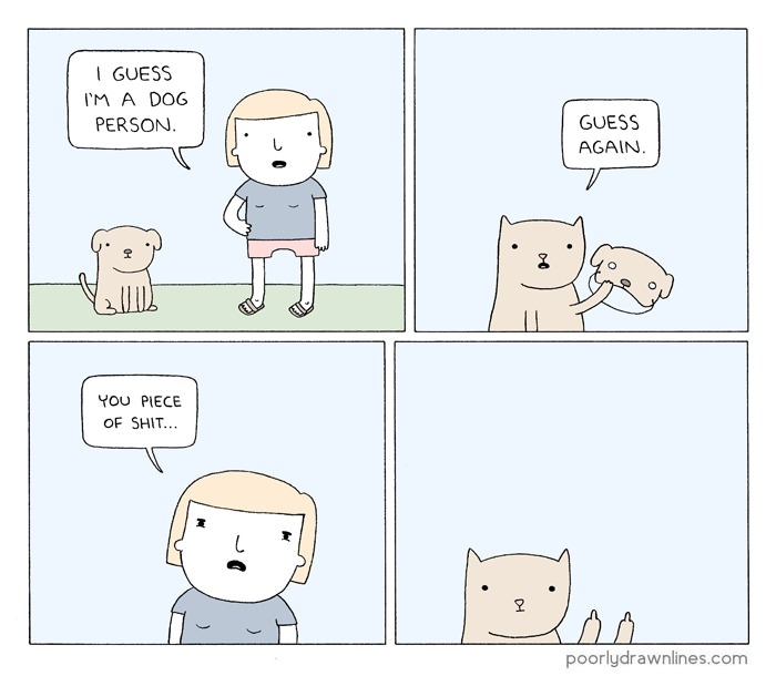 Cat lovers here