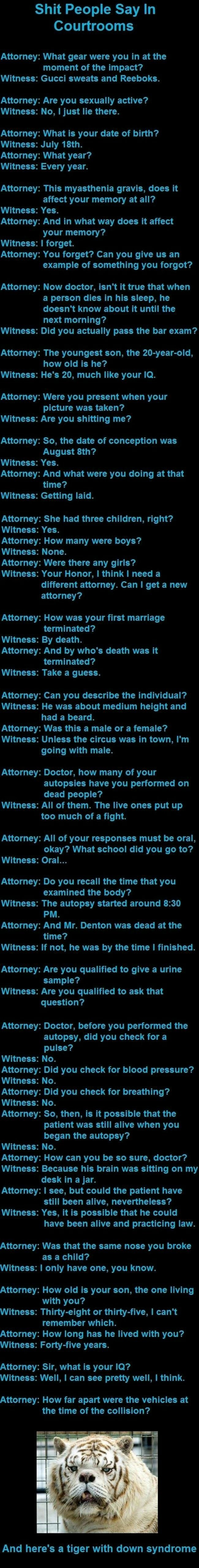 Sh*t people say in courts