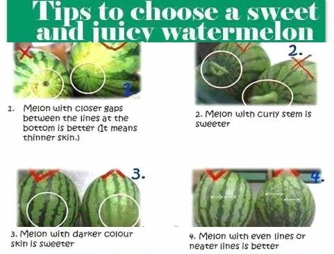 How to pick a watermelon