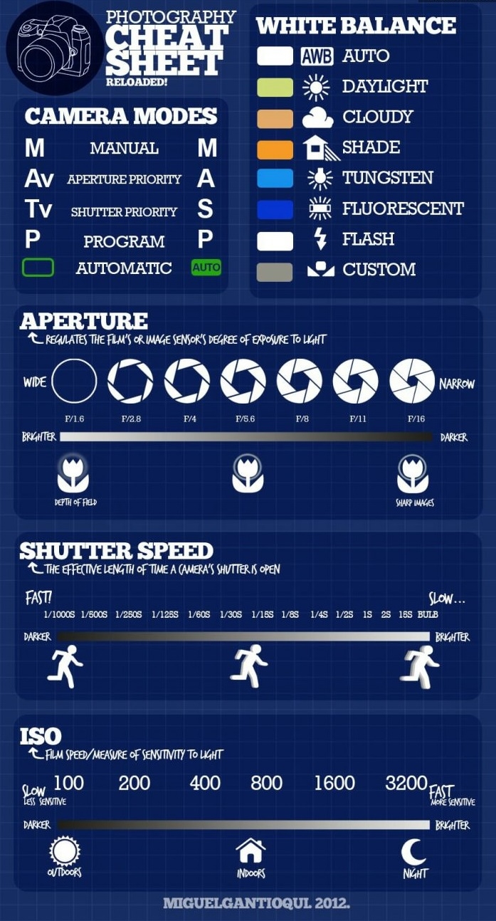 Photography for beginners