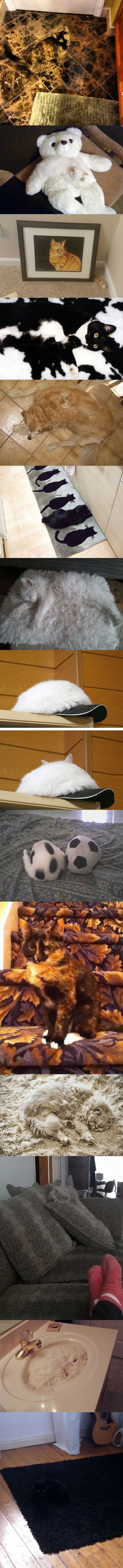 Hide and seek