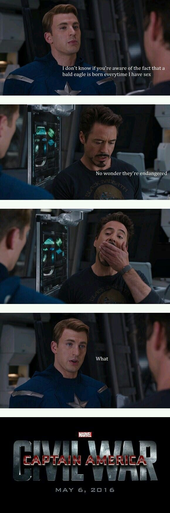 Endangered bald eagles