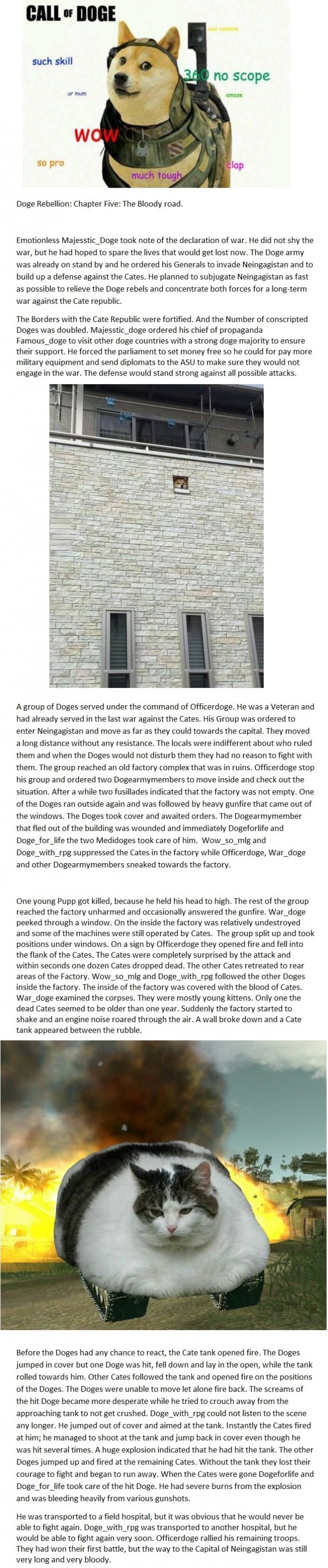 Doge Rebellion
