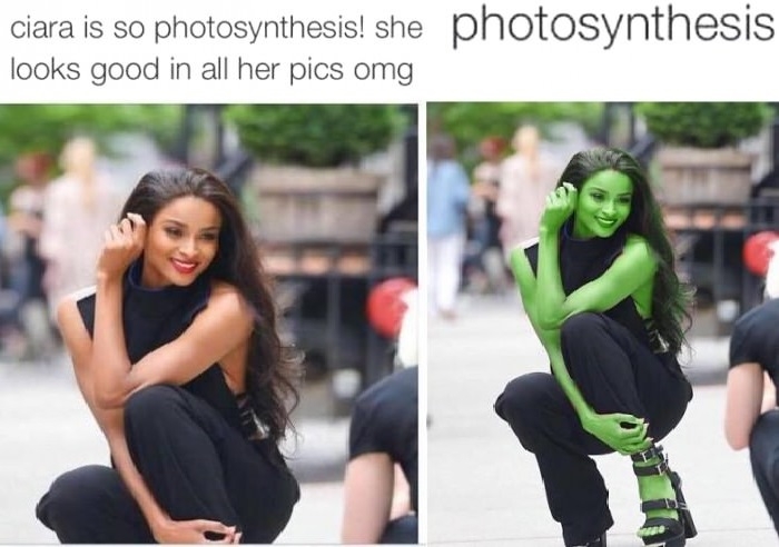 Photosynthesis..