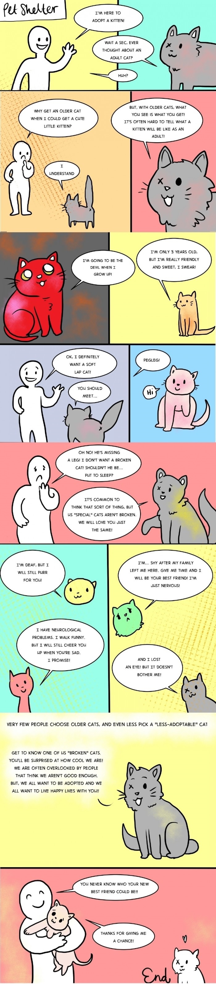 Having a different pet