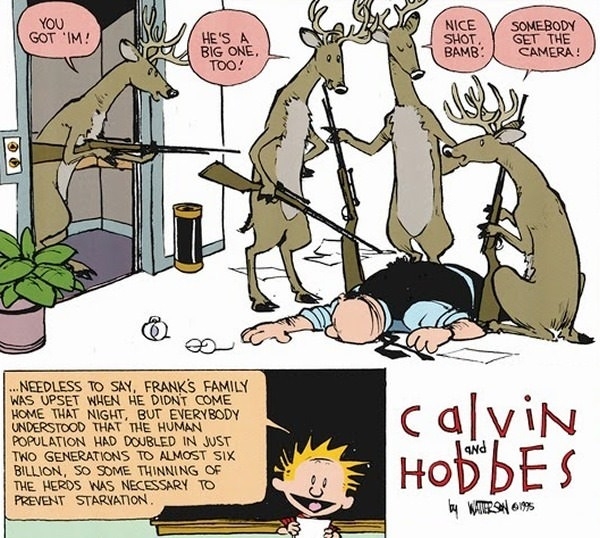 Deers are on to something
