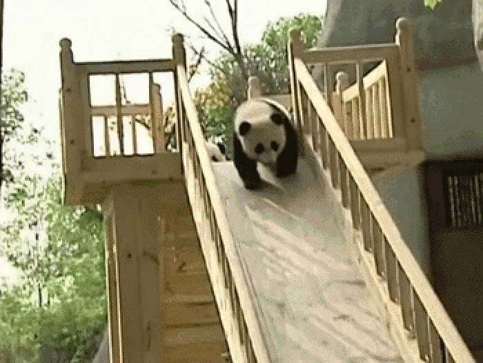 Panda slide