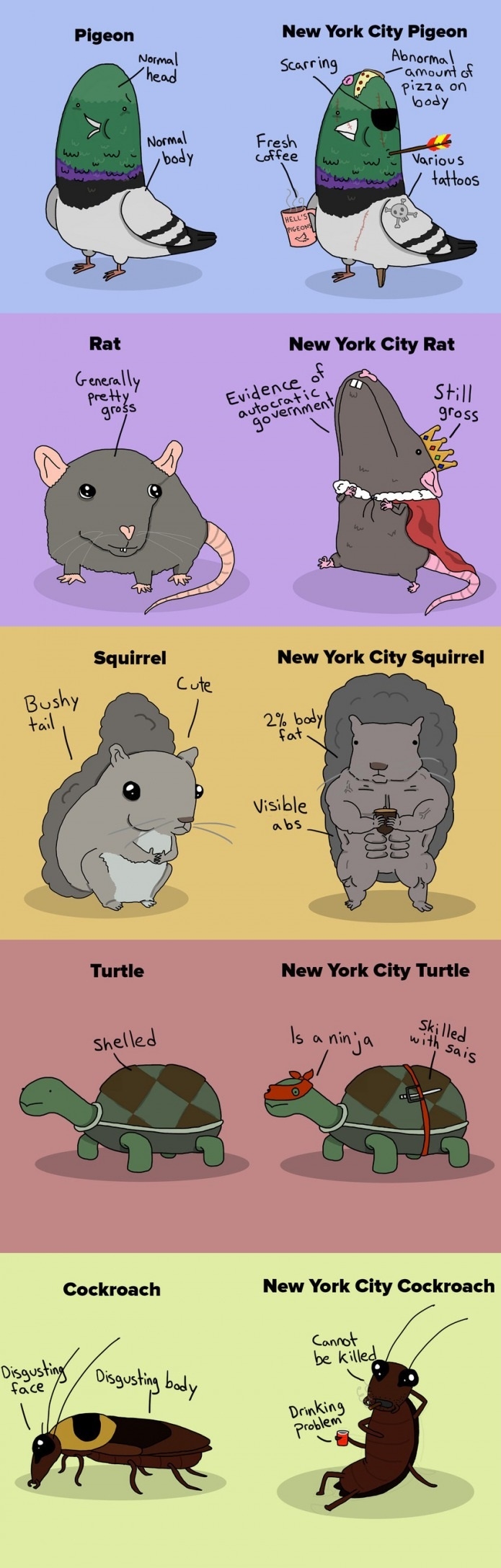 New York City animals