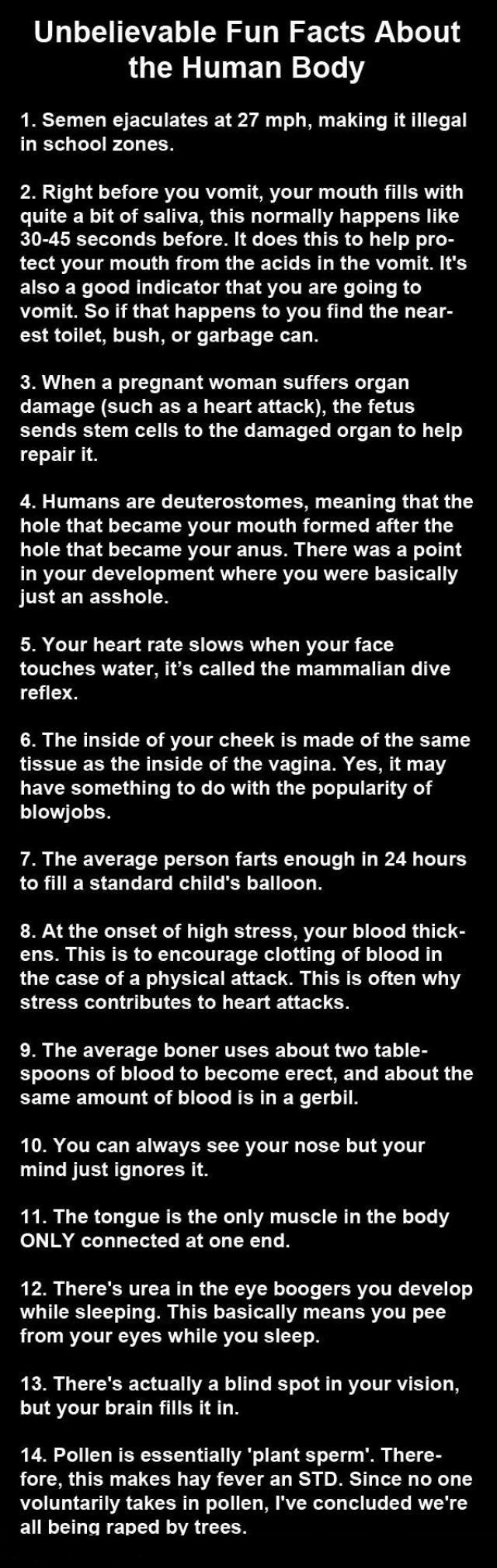 Facts about the body