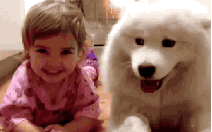 Partners in crime