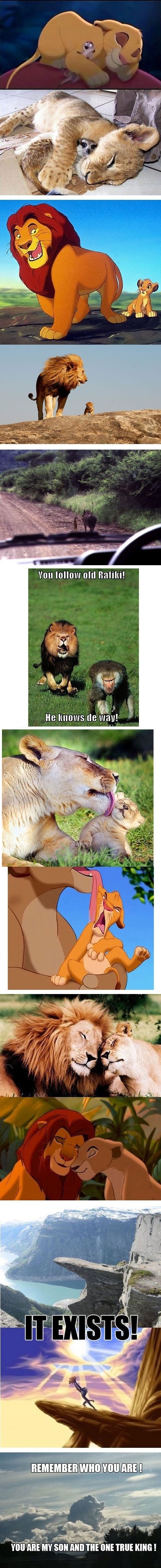 Lion King in real life