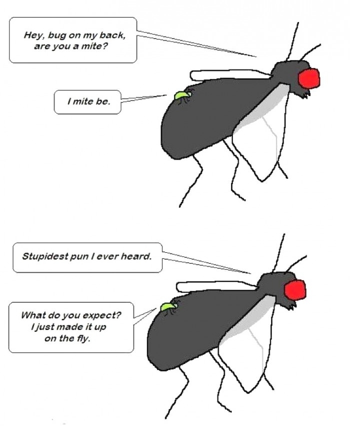 The joy of puns