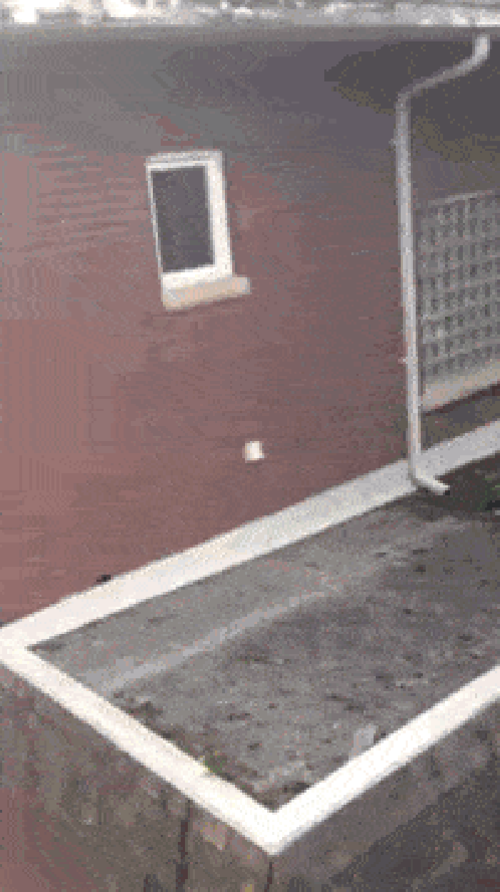 Parkour fail