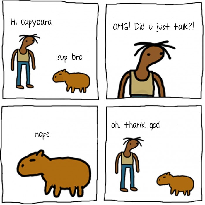 Hi Capybara