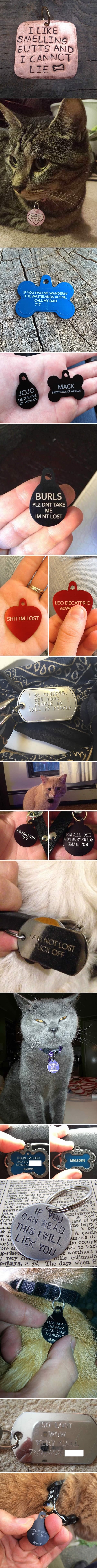 Hilarious pet collar tags