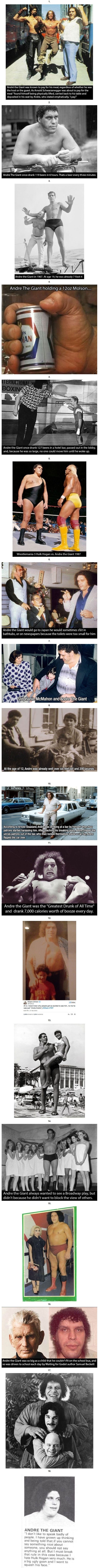 Facts about Andre the Giant
