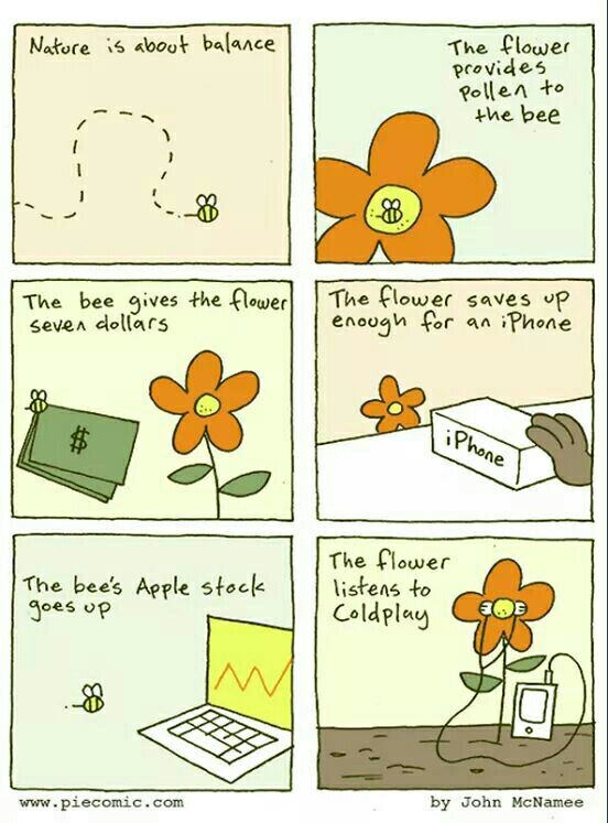 Nature is about balance