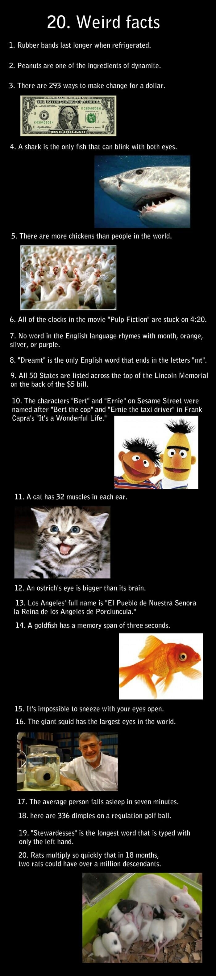 Weird facts