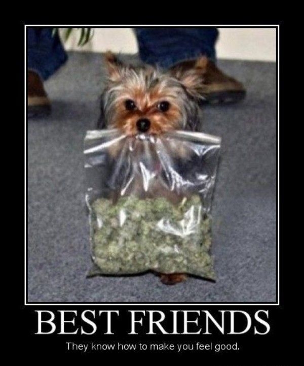 Best friends