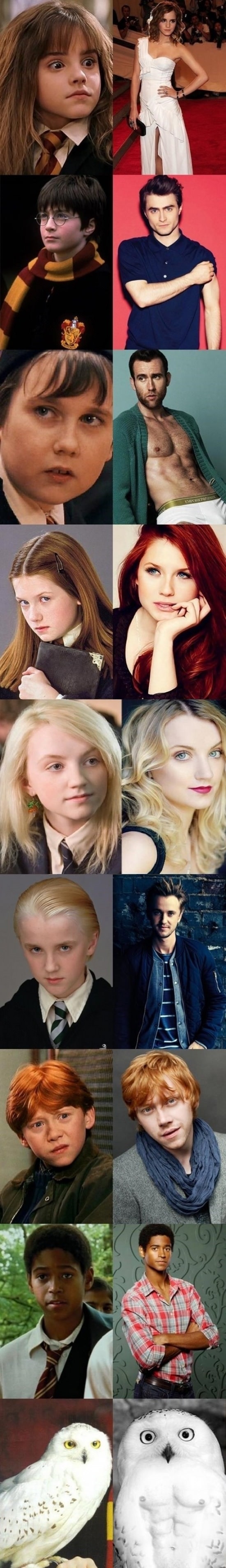 HP cast then & now