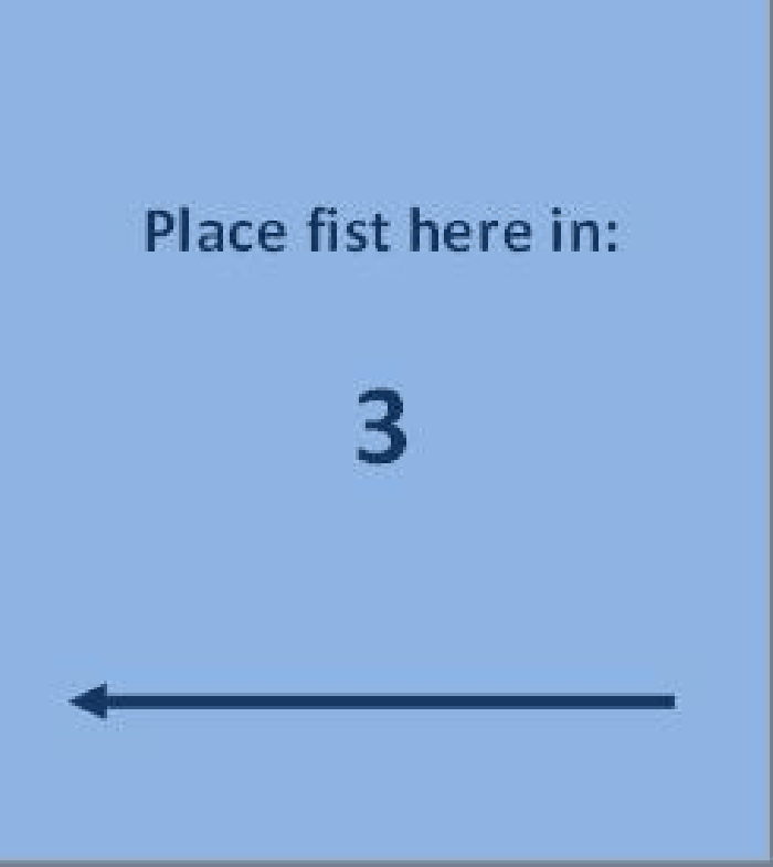 Place fist here