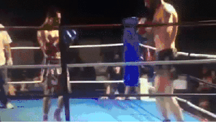 Crazy knockout