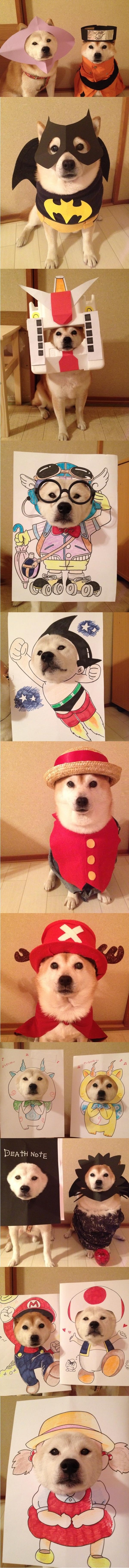 Adorable Shiba cosplays