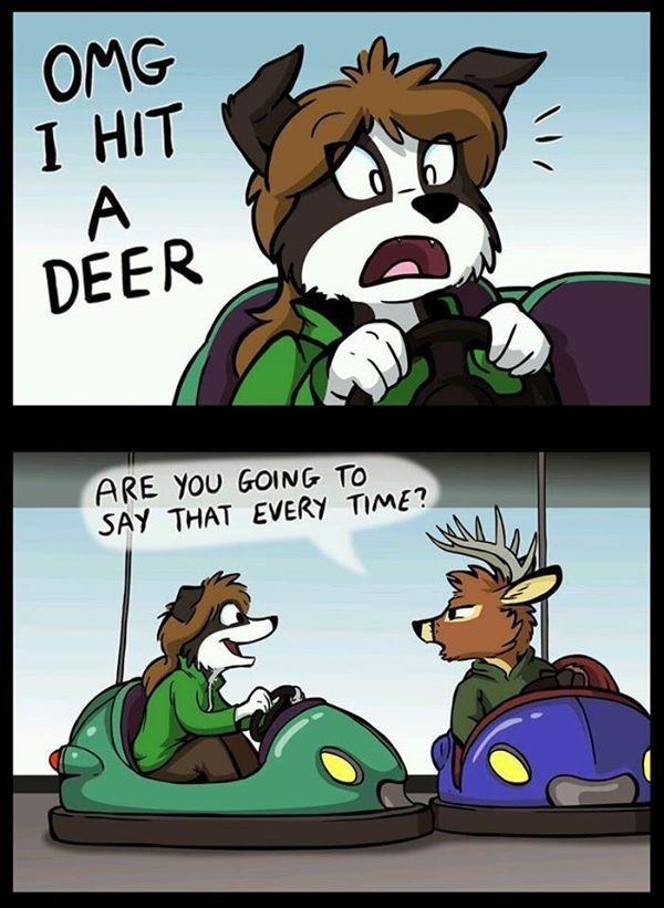 The poor little deer..