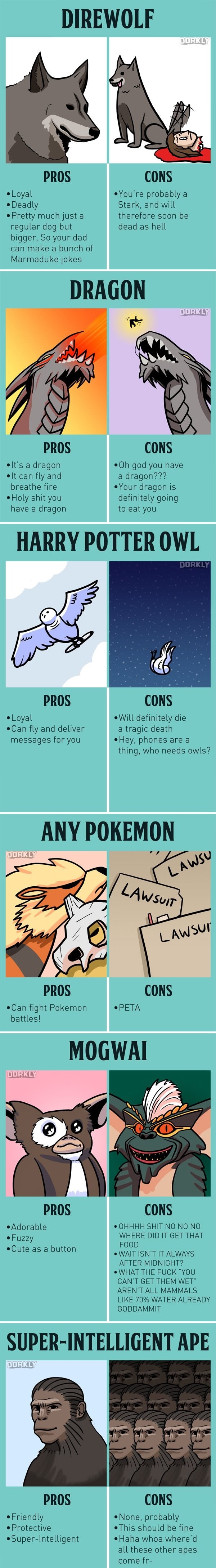 Pros & cons of fictional pets