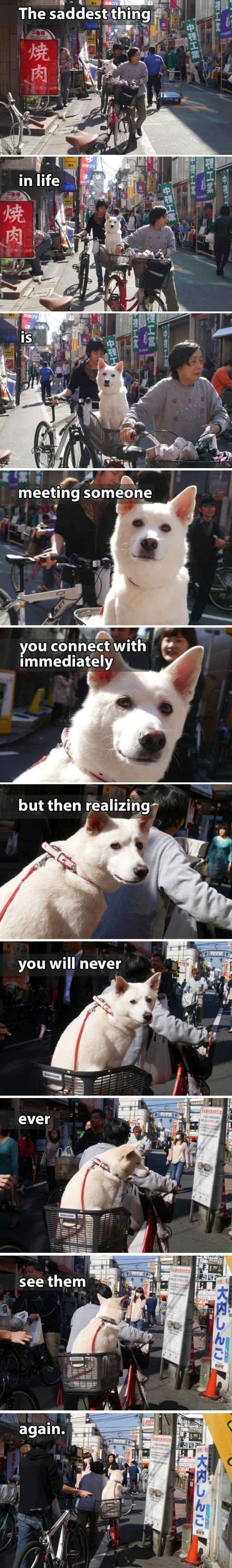 The saddest thing in life