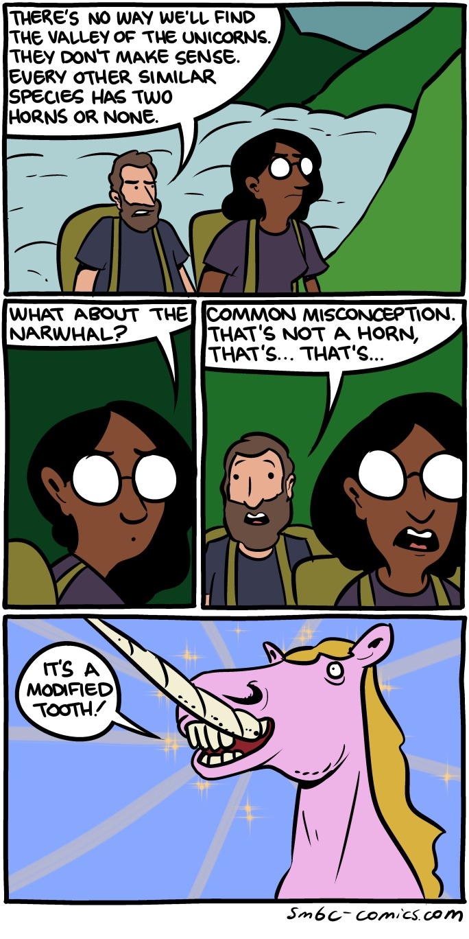Truth about unicorns
