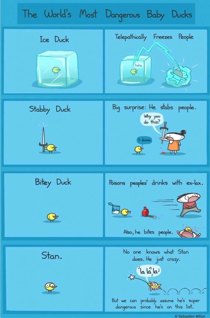 Dangerous baby ducks
