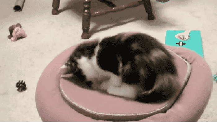Playing with portals