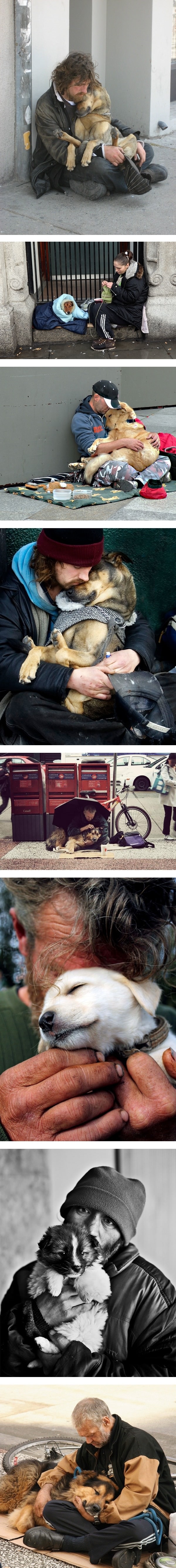 Homeless dog owners