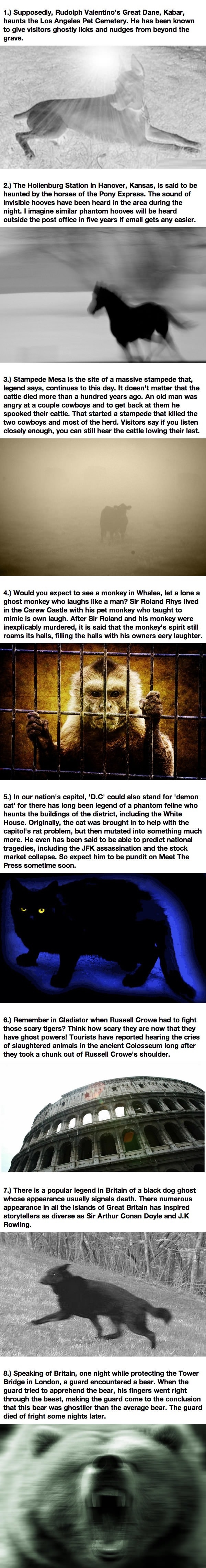 Famous ghost animals