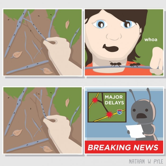 Ant society