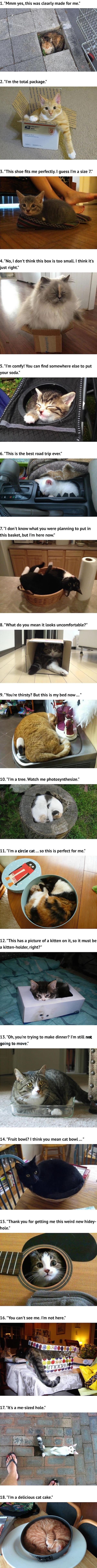 Super cosy cats