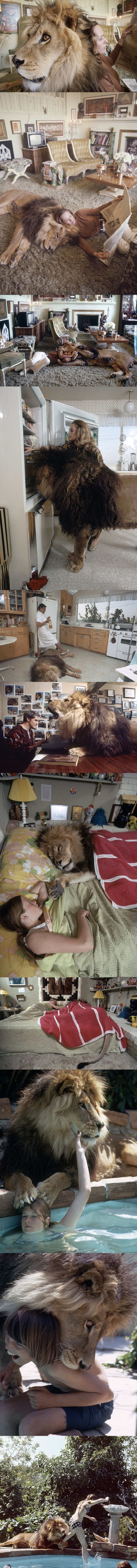 Family living with a lion