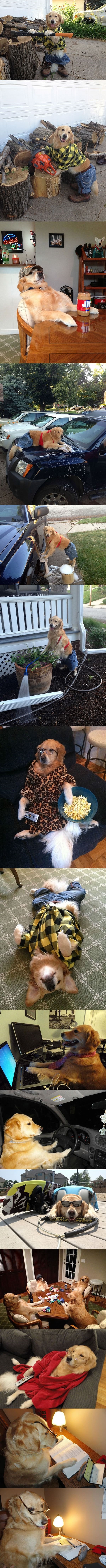 This dog has no idea