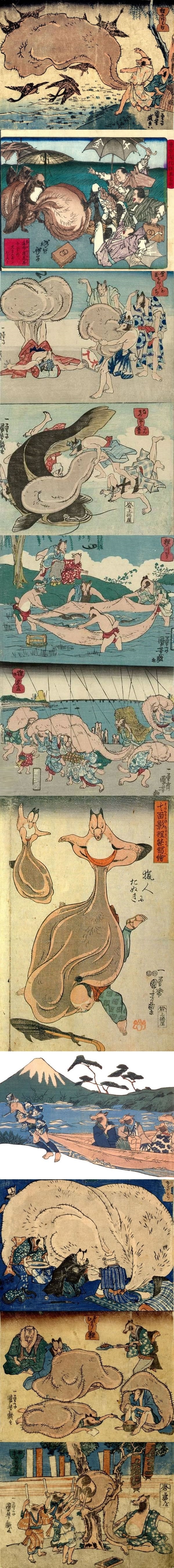 Japanese prints of tanuki