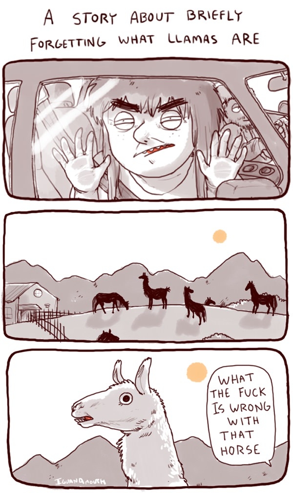 Llama or horse
